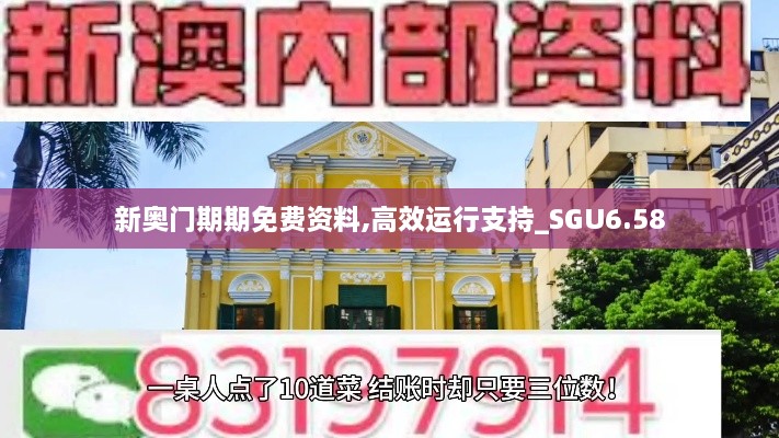 新奥门期期免费资料,高效运行支持_SGU6.58