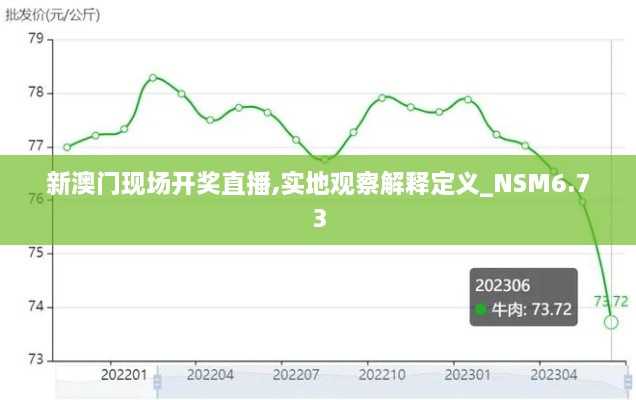 新澳门现场开奖直播,实地观察解释定义_NSM6.73