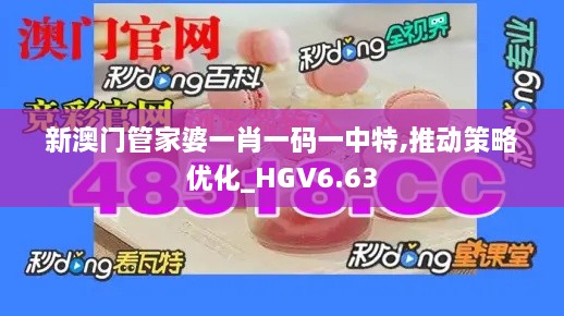 新澳门管家婆一肖一码一中特,推动策略优化_HGV6.63