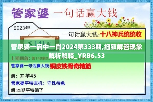 管家婆一码中一肖2024第333期,细致解答现象解析解释_YRB6.53