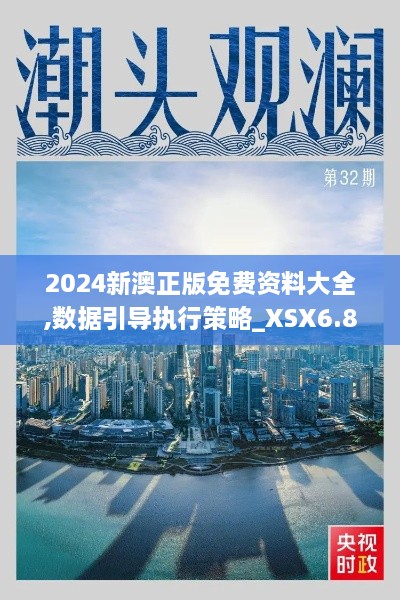 2024新澳正版免费资料大全,数据引导执行策略_XSX6.85