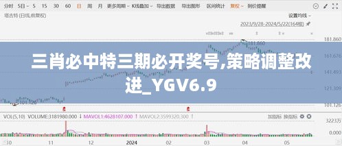 三肖必中特三期必开奖号,策略调整改进_YGV6.9