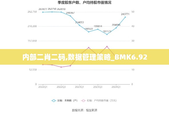 内部二肖二码,数据管理策略_BMK6.92