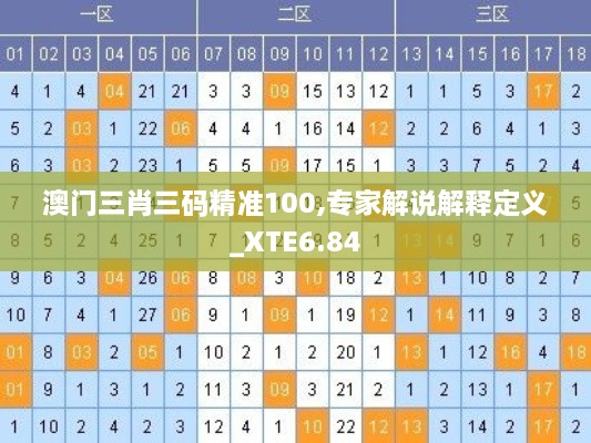 澳门三肖三码精准100,专家解说解释定义_XTE6.84