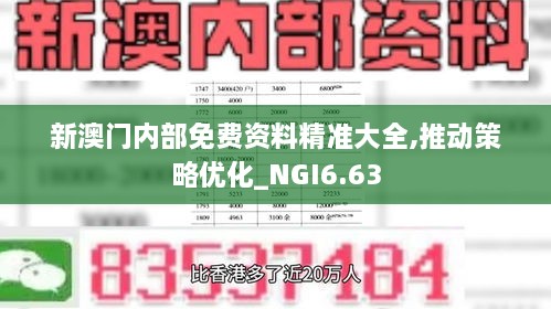 新澳门内部免费资料精准大全,推动策略优化_NGI6.63