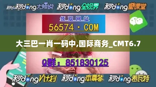 大三巴一肖一码中,国际商务_CMT6.7