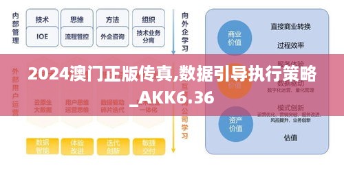 2024澳门正版传真,数据引导执行策略_AKK6.36