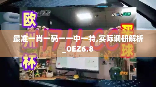 最准一肖一码一一中一特,实际调研解析_OEZ6.8