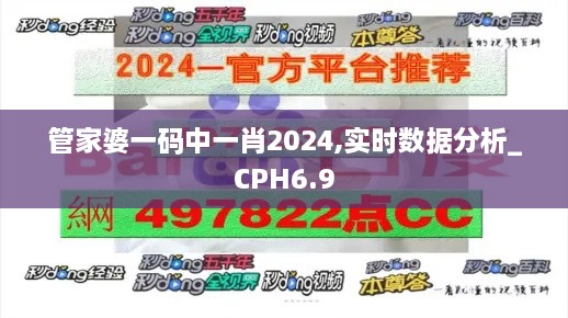 管家婆一码中一肖2024,实时数据分析_CPH6.9