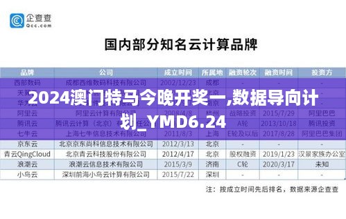 2024澳门特马今晚开奖一,数据导向计划_YMD6.24