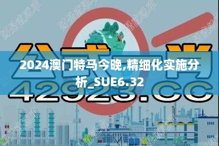 2024澳门特马今晚,精细化实施分析_SUE6.32