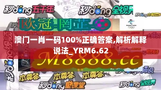 澳门一肖一码100%正确答案,解析解释说法_YRM6.62