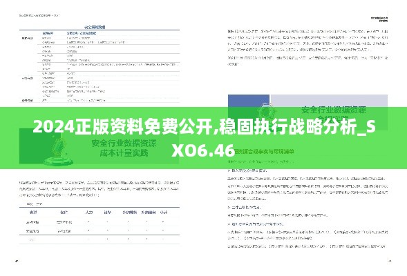 2024正版资料免费公开,稳固执行战略分析_SXO6.46