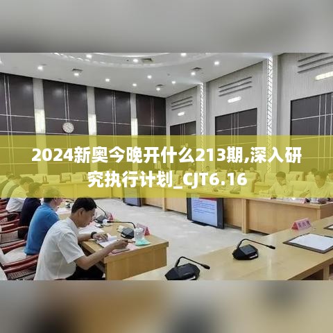 2024新奥今晚开什么213期,深入研究执行计划_CJT6.16