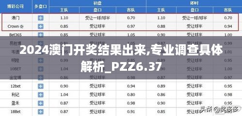 2024澳门开奖结果出来,专业调查具体解析_PZZ6.37