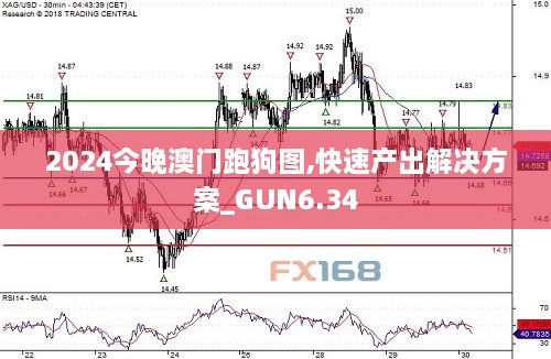 2024今晚澳门跑狗图,快速产出解决方案_GUN6.34