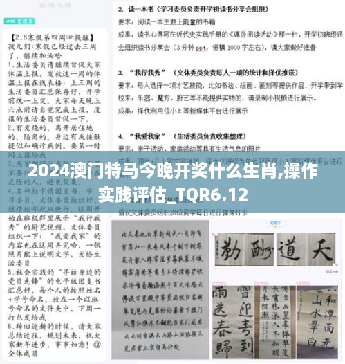 2024澳门特马今晚开奖什么生肖,操作实践评估_TQR6.12