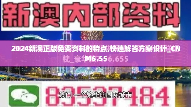 2024新澳正版免费资料的特点,快速解答方案设计_CNM6.55