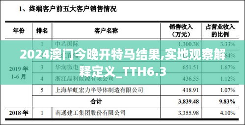 2024澳门今晚开特马结果,实地观察解释定义_TTH6.3