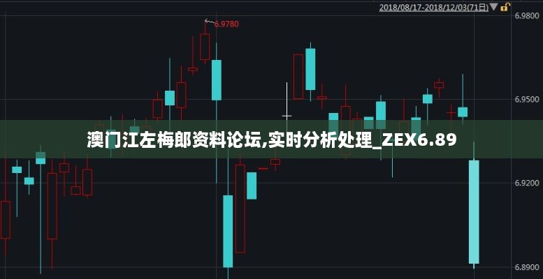 澳门江左梅郎资料论坛,实时分析处理_ZEX6.89