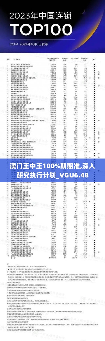 澳门王中王100%期期准,深入研究执行计划_VGU6.48