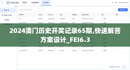 2024澳门历史开奖记录65期,快速解答方案设计_FEI6.3