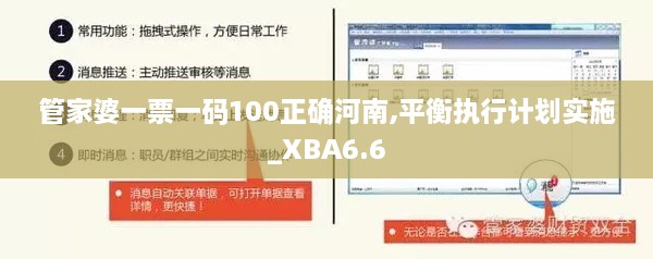 管家婆一票一码100正确河南,平衡执行计划实施_XBA6.6