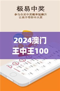 2024澳门王中王100%期期中,深入登降数据利用_CDQ6.58