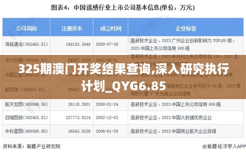 325期澳门开奖结果查询,深入研究执行计划_QYG6.85