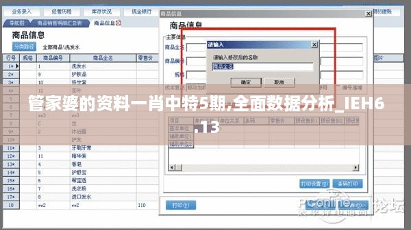 管家婆的资料一肖中特5期,全面数据分析_IEH6.13