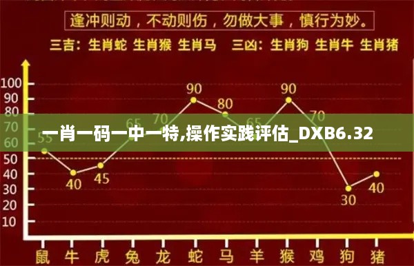 一肖一码一中一特,操作实践评估_DXB6.32