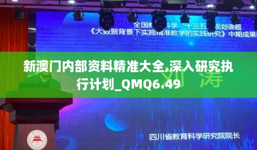 新澳门内部资料精准大全,深入研究执行计划_QMQ6.49