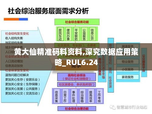 黄大仙精准码料资料,深究数据应用策略_RUL6.24