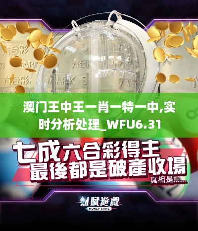 澳门王中王一肖一特一中,实时分析处理_WFU6.31