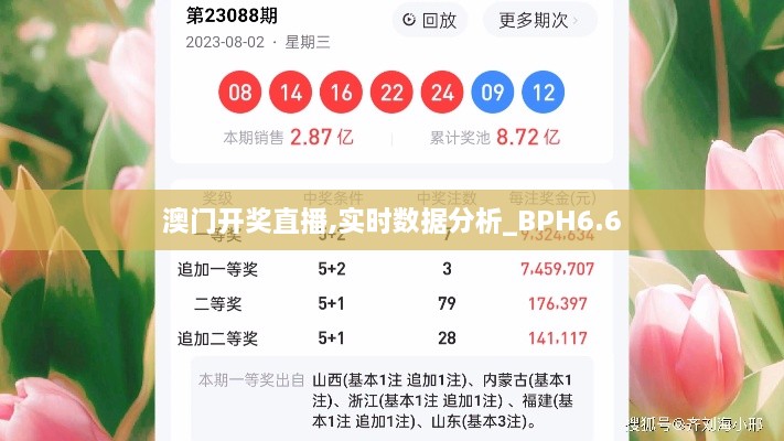 澳门开奖直播,实时数据分析_BPH6.6