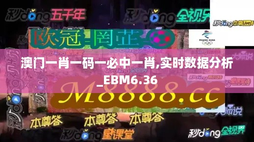 澳门一肖一码一必中一肖,实时数据分析_EBM6.36