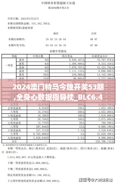 2024澳门特马今晚开奖53期,全身心数据指导枕_BLC6.40