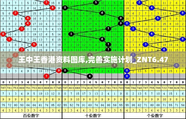 王中王香港资料图库,完善实施计划_ZNT6.47