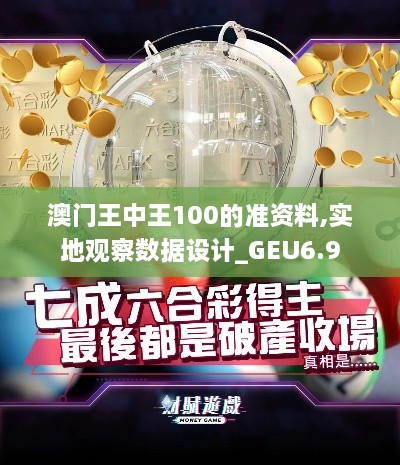 澳门王中王100的准资料,实地观察数据设计_GEU6.9