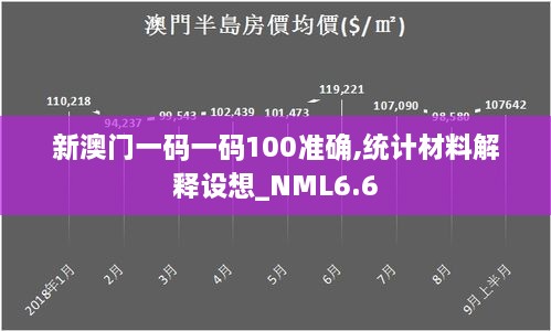 新澳门一码一码100准确,统计材料解释设想_NML6.6