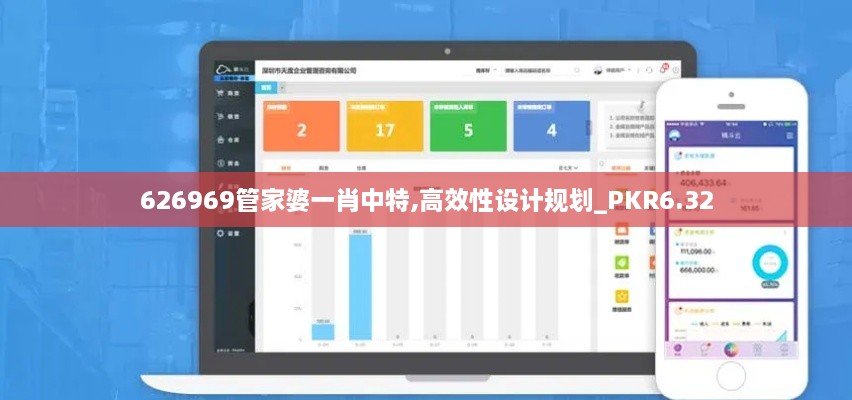 626969管家婆一肖中特,高效性设计规划_PKR6.32