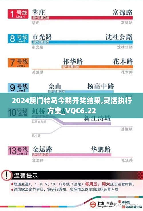 2024澳门特马今期开奖结果,灵活执行方案_VQC6.22