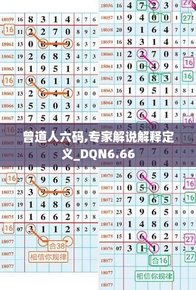 曾道人六码,专家解说解释定义_DQN6.66