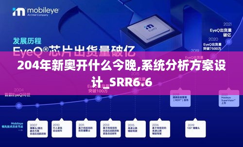 204年新奥开什么今晚,系统分析方案设计_SRR6.6