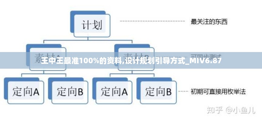 王中王最准100%的资料,设计规划引导方式_MIV6.87