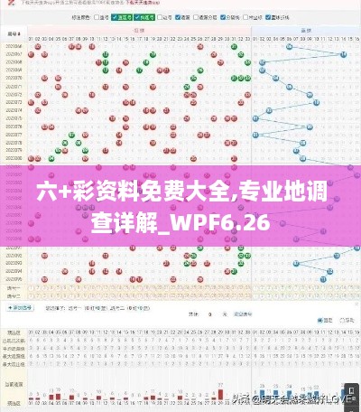 六+彩资料免费大全,专业地调查详解_WPF6.26