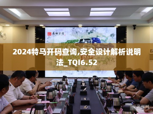 2024特马开码查询,安全设计解析说明法_TQI6.52