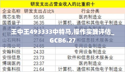 王中王493333中特马,操作实践评估_GCB6.27