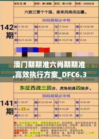 澳门期期准六肖期期准,高效执行方案_DFC6.3