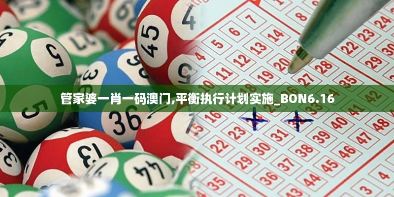 管家婆一肖一码澳门,平衡执行计划实施_BON6.16